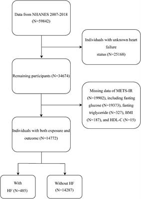 Association between METS-IR and heart failure: a cross-sectional study